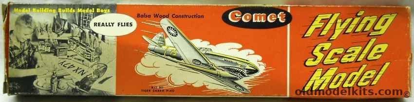 Comet P-40 Tiger Shark - 18 inch Wingspan - Coke Bottle Issue, N1-29 plastic model kit